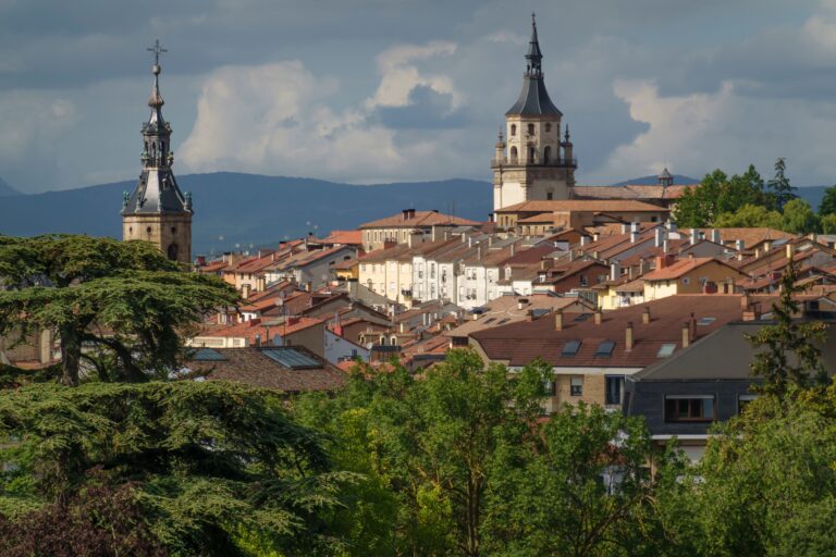 Vista de los tejados y torres del casco histórico de Vitoria-Gasteiz.
